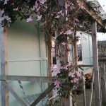 Pembrokeshire Shepherds Hut