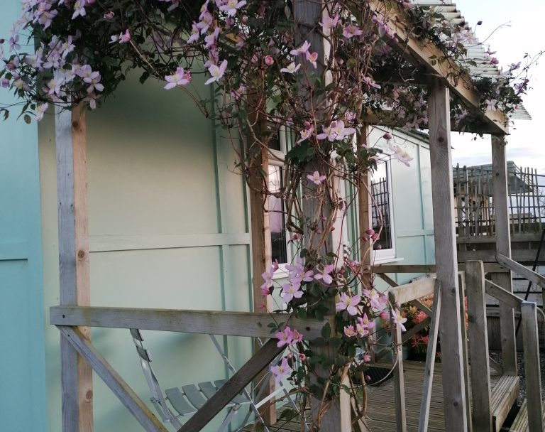 Pembrokeshire Shepherds Hut